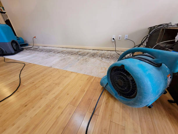 Professional Water Removal technician working in Plantersville, MS